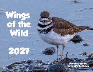 Wings of the Wild - Birds of the Pacific Northwest