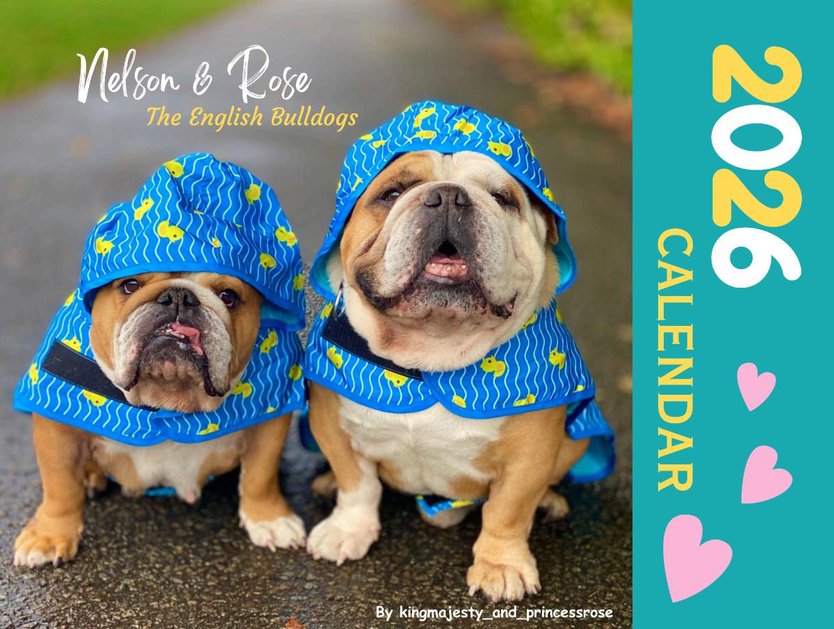 Nelson and Rose The Bulldogs 2026 Wall Calendar