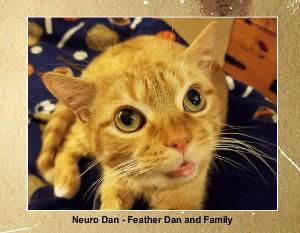 Neuro Dan - Feather Dan Coffee Table Book