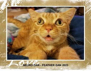 neurdan