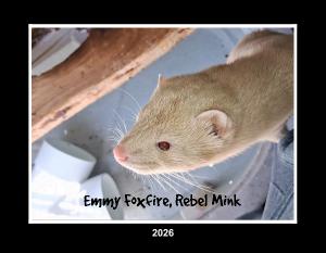 Rebel Mink 2026 Calendar