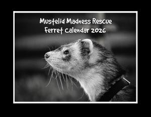 MMR Ferret Calendar 2026