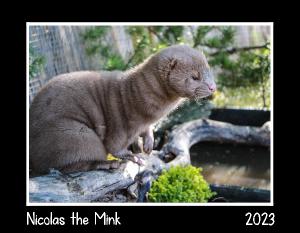 Nicolas the Mink 2023