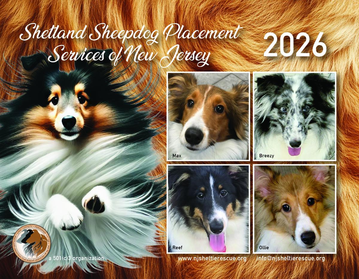 2026 SSPSNJ Calendar