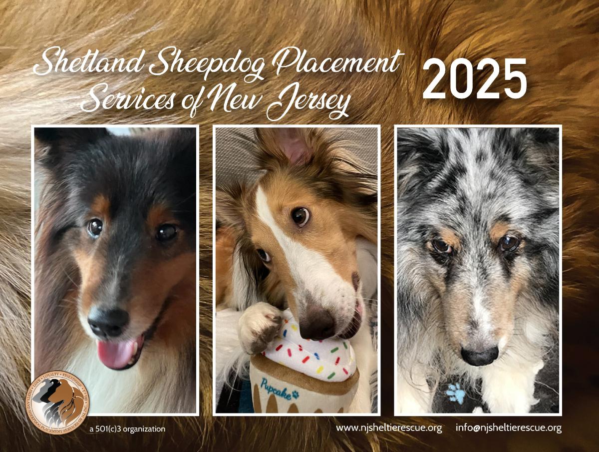 2025 SSPSNJ Rescue Calendar