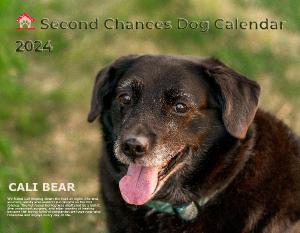 2024 Second Chance Dog Calendar