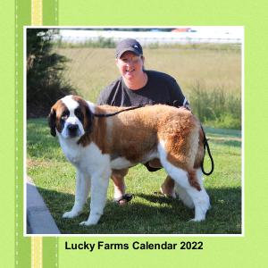 Lucky Farms 12 x 12 Calendar
