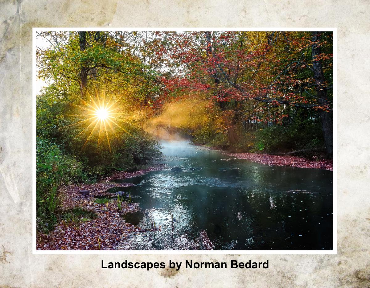 Landscapes by Norman Bedard