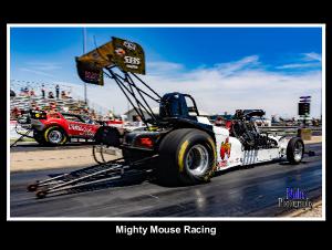 Mighty Mouse Racing