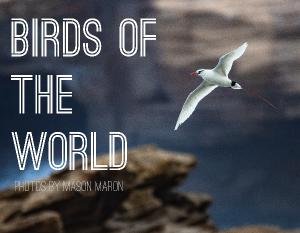 Birds of the World