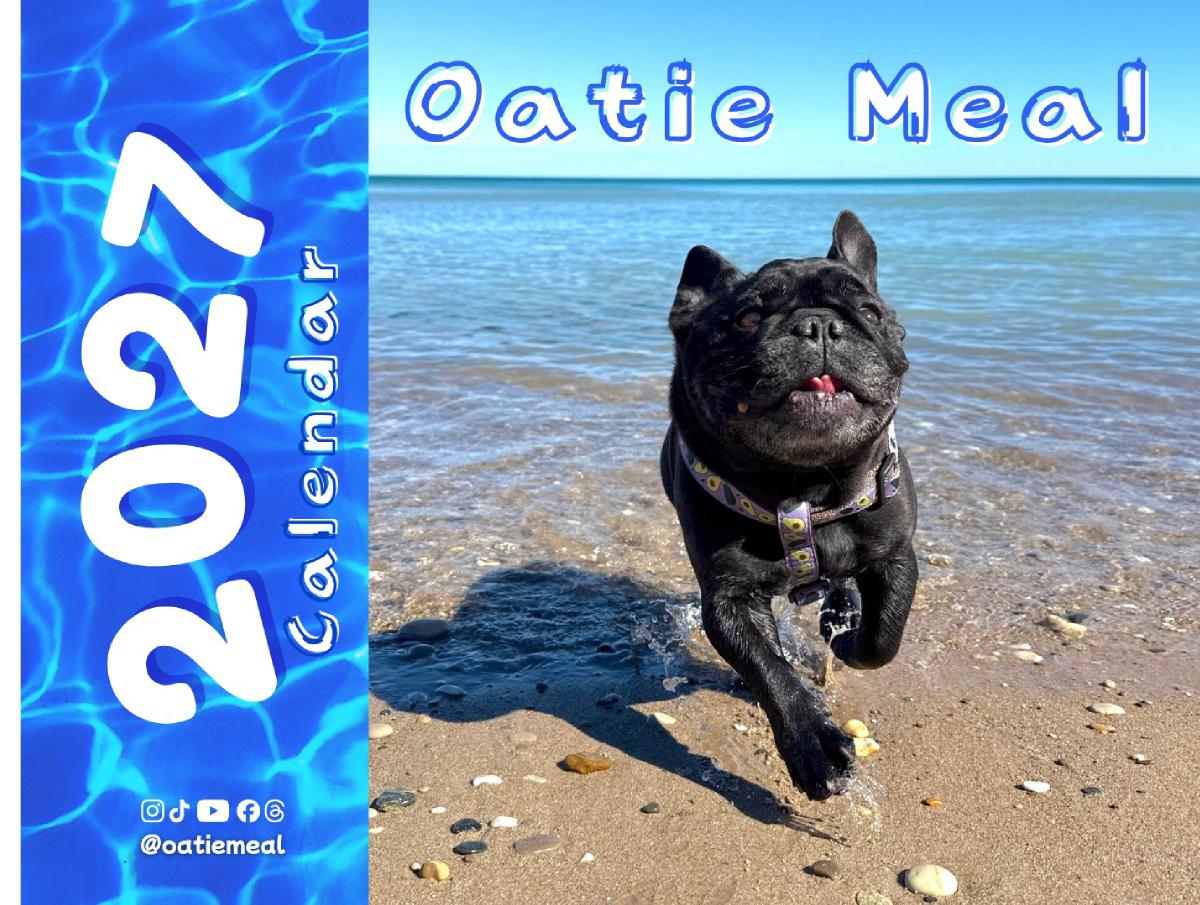Oatie Meal 2027 Calendar