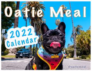 Oatie Meal The French Bulldog - 2022 Calendar