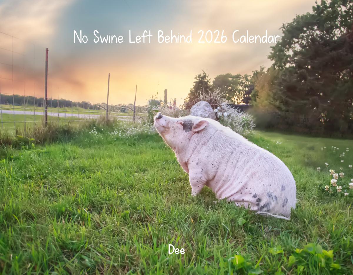 NSLB 2026 Calendar