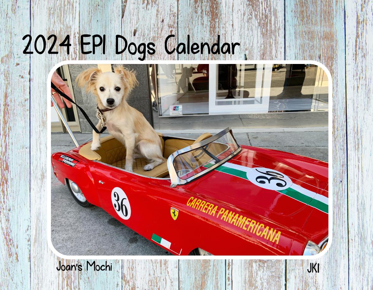 Epi4Dogs 2024 Cal JK-1