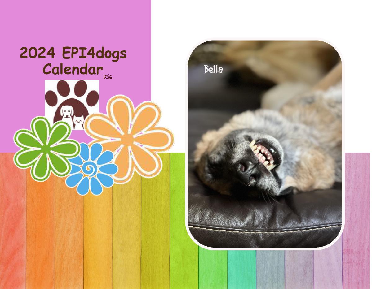 Epi4Dogs 2024 Cal DS-6