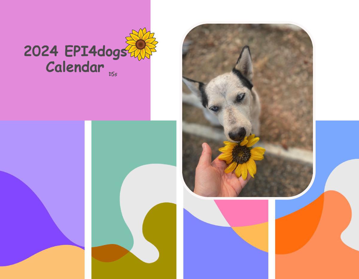 Epi4Dogs 2024 Cal DS-5