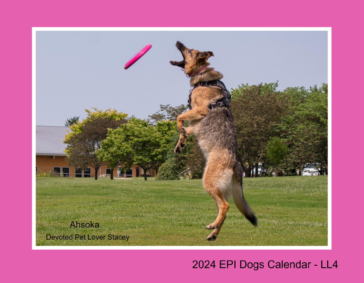 Epi4Dogs 2024 Cal LL-4