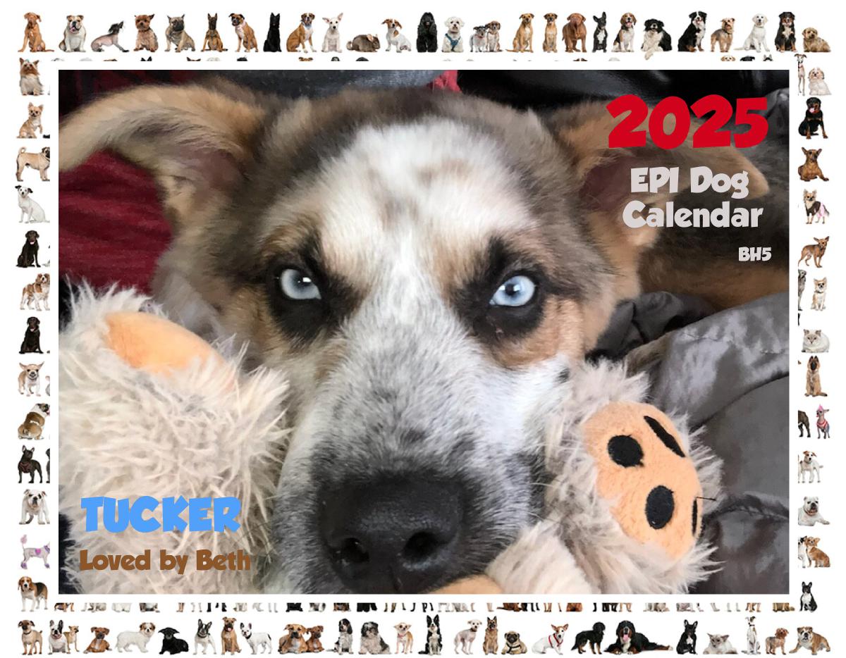 custom-photo-calendars-for-sale-create-photo-calendars-store