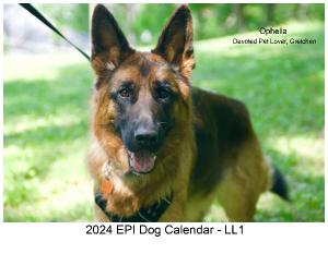 Epi4Dogs 2024 Cal LL-1