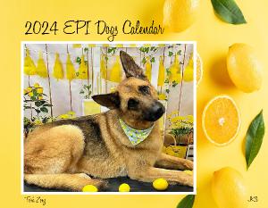 Epi4Dogs 2024 Cal JK-3