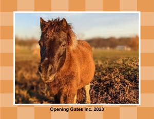 Opening Gates Inc. 2023