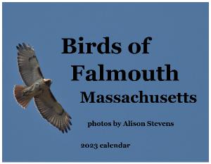 Birds of Falmouth MA 2023 Calendar