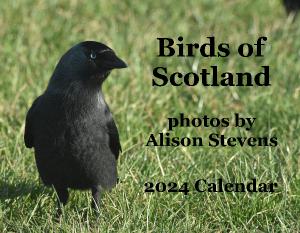 Birds of Scotland 2024 Calendar