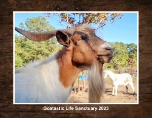Goatastic Life Sanctuary 2023 Calendar