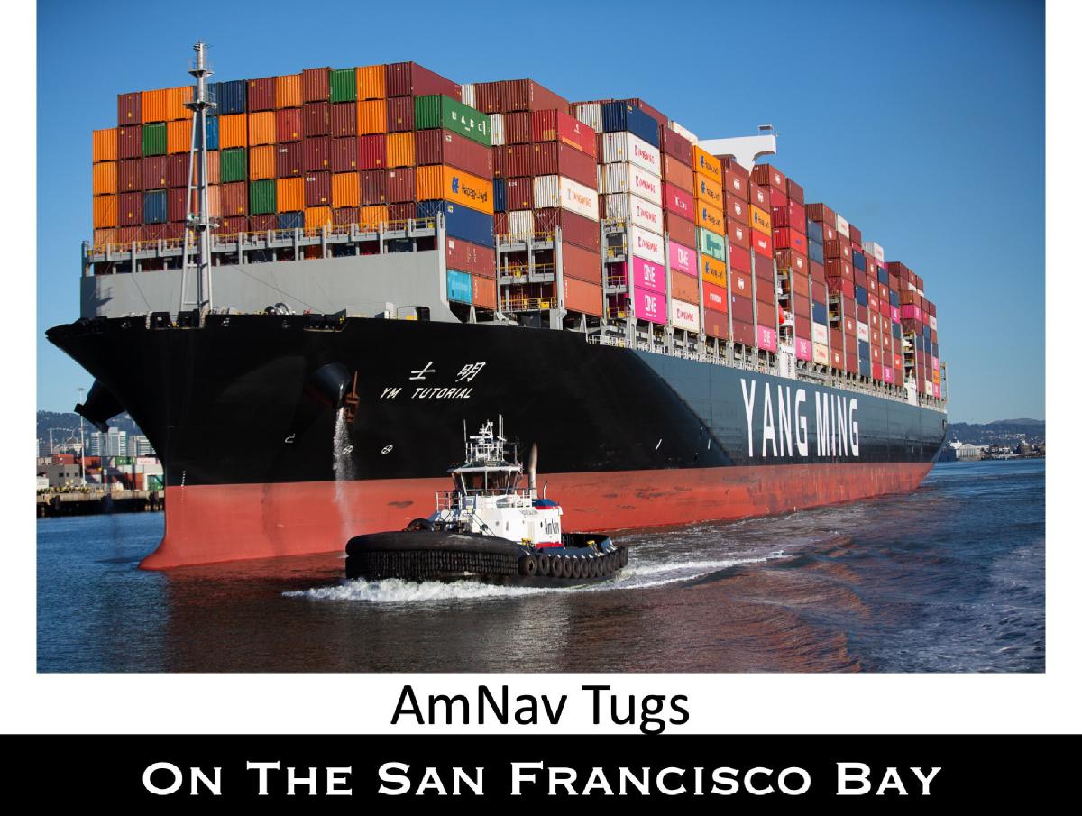 AmNav Tugs on the San Francisco Bay 2024