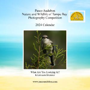 Pasco Audubon 2024 Calendar