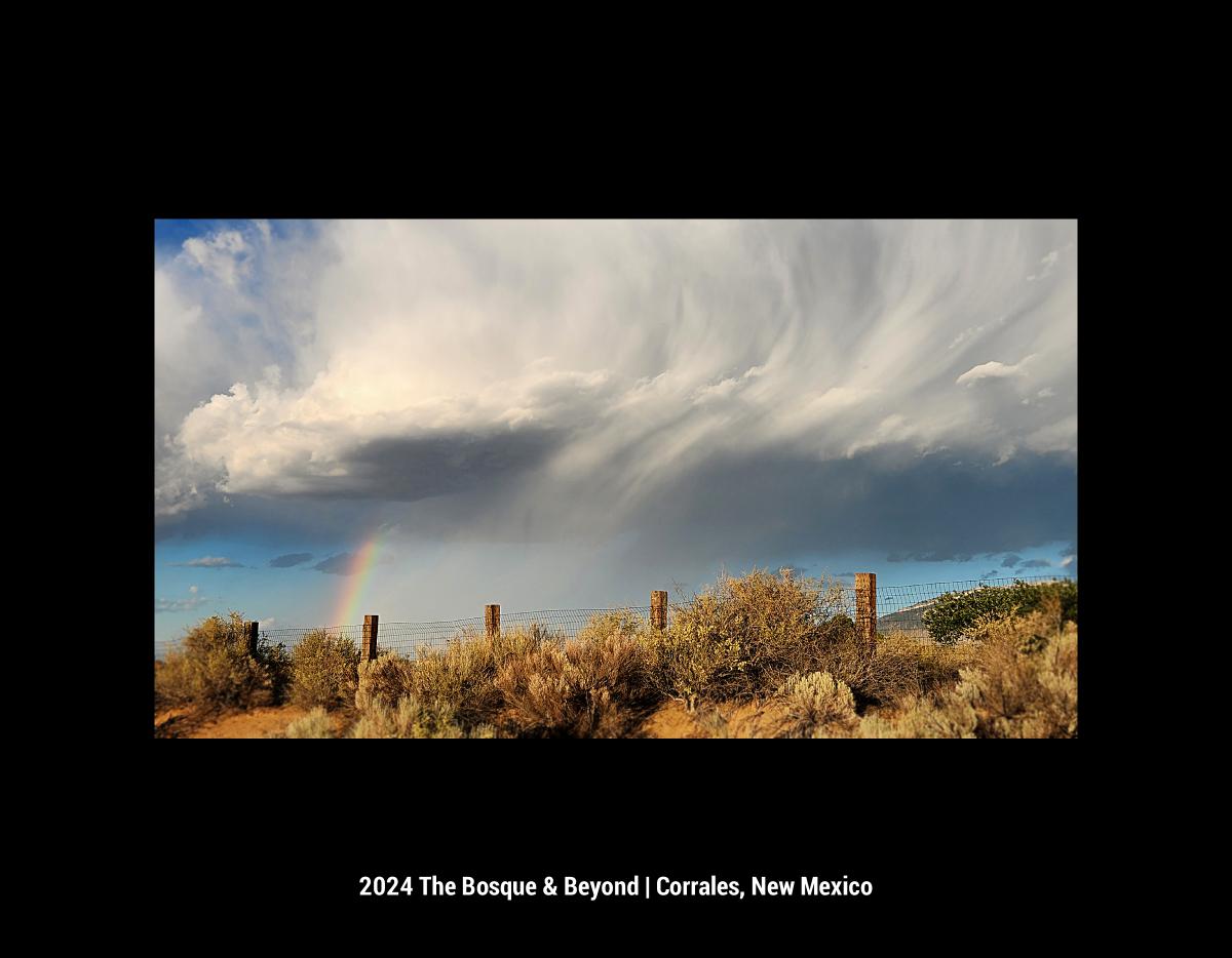 2024 The Bosque & Beyond | Corrales, New Mexico
