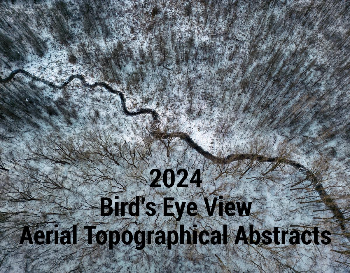 2024 Bird's Eye View Calendar