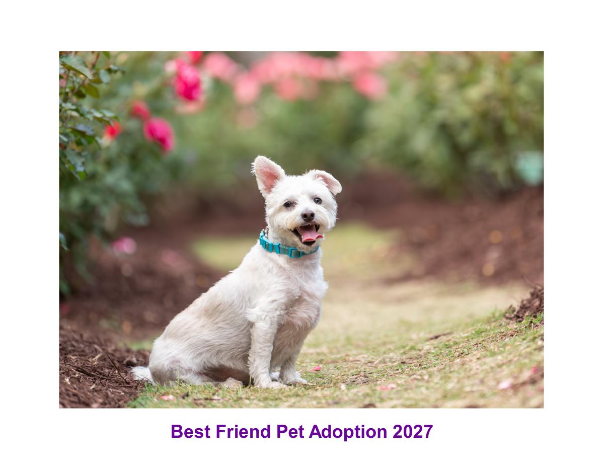 Best Friend Pet Adoption 2027