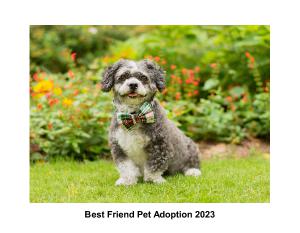 Best Friend Pet Adoption 2023