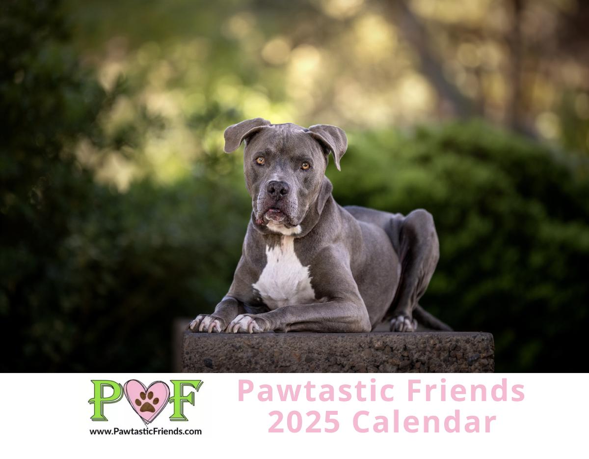 2025 Pawtastic Friends Calendar