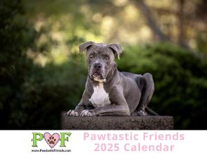 2025 Pawtastic Friends Calendar