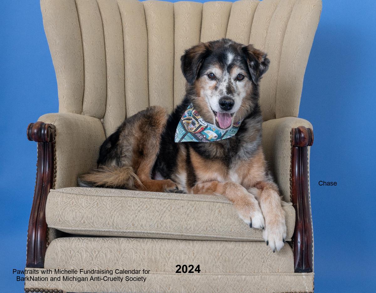 Pawtraits with Michelle 2024 Fundraising Calendar