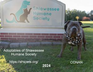 2024 Shiawassee Humane Society Fundraising Calenda