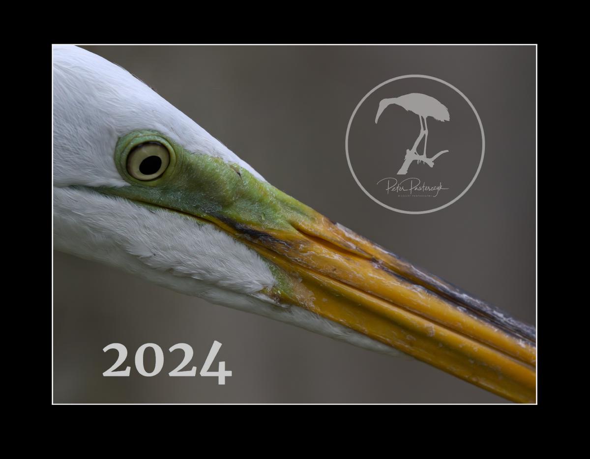 2024 Bird Calendar