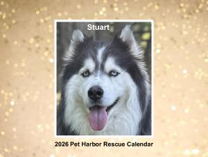 2026 Pet Harbor Calendar Solo Edition