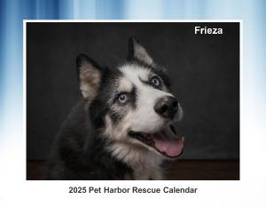 2025 Pet Harbor Calendar Solo Edition