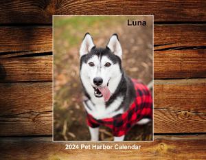 2024 Pet Harbor Calendar Solo Edition