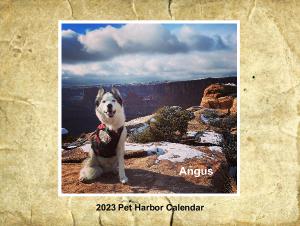 2023 Pet Harbor Calendar Collage Edition