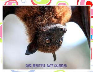 2022 Beautiful Bats Calendar