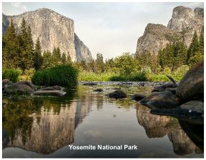 Yosemite  National Park