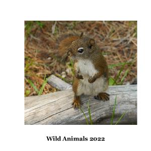 Wild Animals 2022