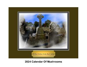 2024 Calendar Haunted Cemeteries Of Ireland