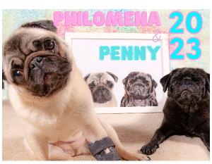 Philomena the Pug 2023 Calendar