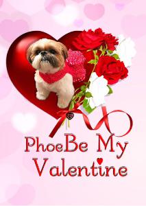 PhoeBe My Valentine
