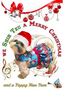 Shih Tzu a Merry Xmas Card